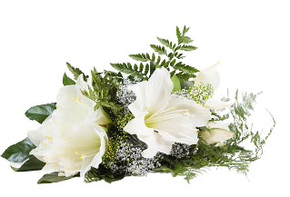 MFS__flower-removebg-preview