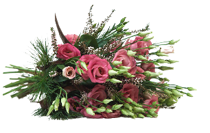 MFS__flower4-removebg-preview